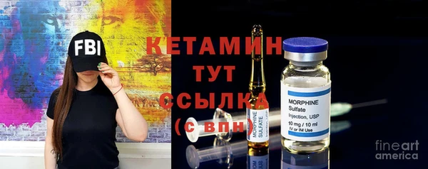 шишки Лабытнанги