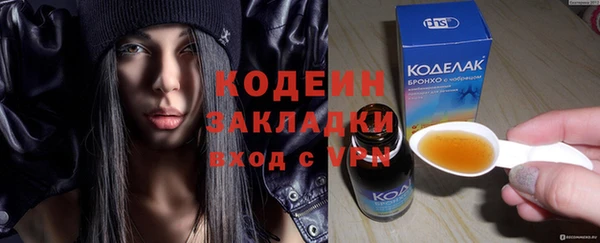 шишки Лабытнанги