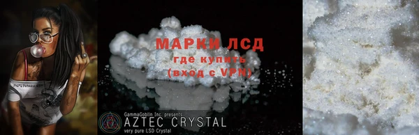 шишки Лабытнанги