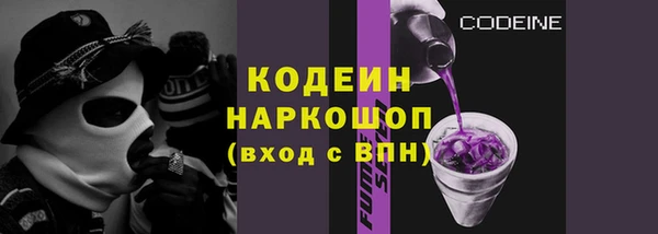 шишки Лабытнанги