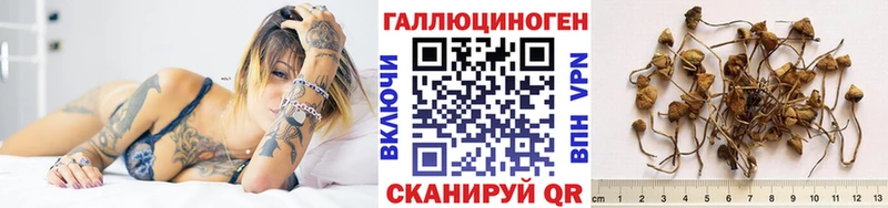 OMG рабочий сайт  Ленинск-Кузнецкий  Галлюциногенные грибы Psilocybine cubensis  закладки 