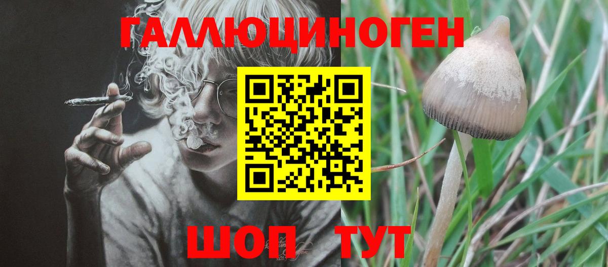 Ленинск-Кузнецкий  продажа наркотиков  Вход с VPN  Галлюциногенные грибы MAGIC MUSHROOMS 